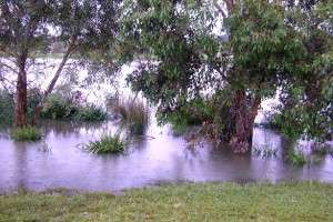 Berwick Springs Flooding Berwick Springs Flooding