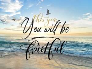 Beach, seagulls, text, This year, you will be fruitful
