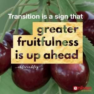 Signs of Transition in Ministry
