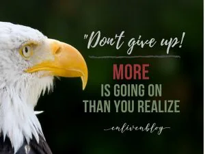 "Don't give up! More is going on than you realize", eagle's head