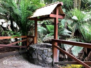 Photo of well in a forest