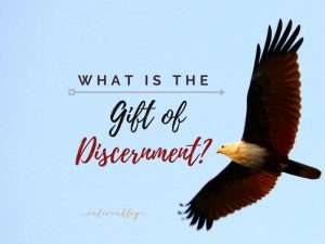 What is the gift of discernment? Text on image of eagle flying against blue background