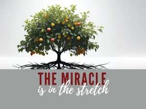 "The Miracle is in the Stretch" text with Image of Fruit tree with roots outstretched 