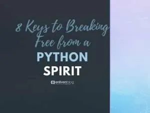 Python Spirit: 8 Keys to Breaking Free From a Python Spirit