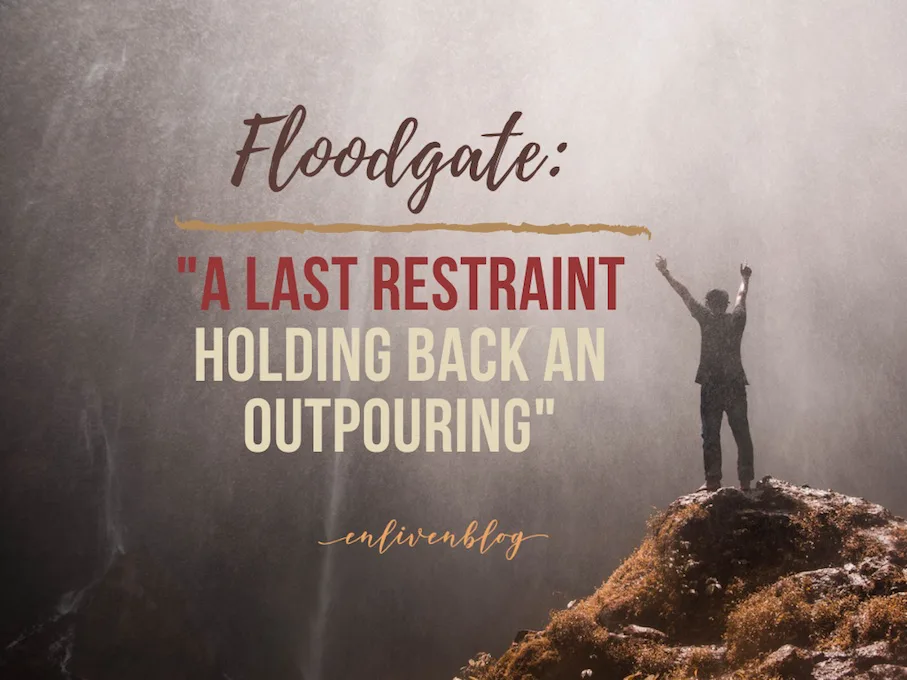 Floodgate, a last restraint holding back an outpouring
