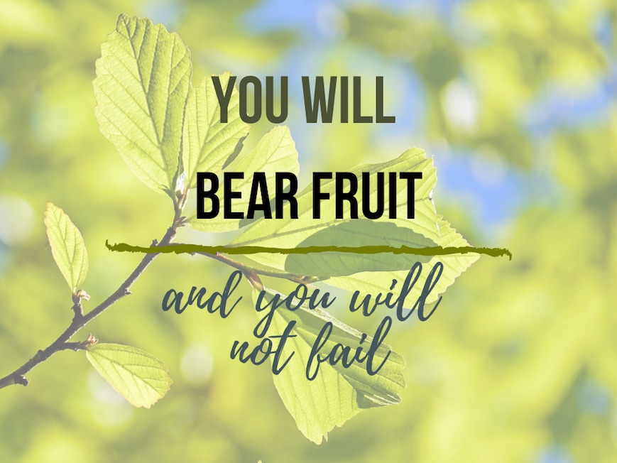 Leaves on a tree, text