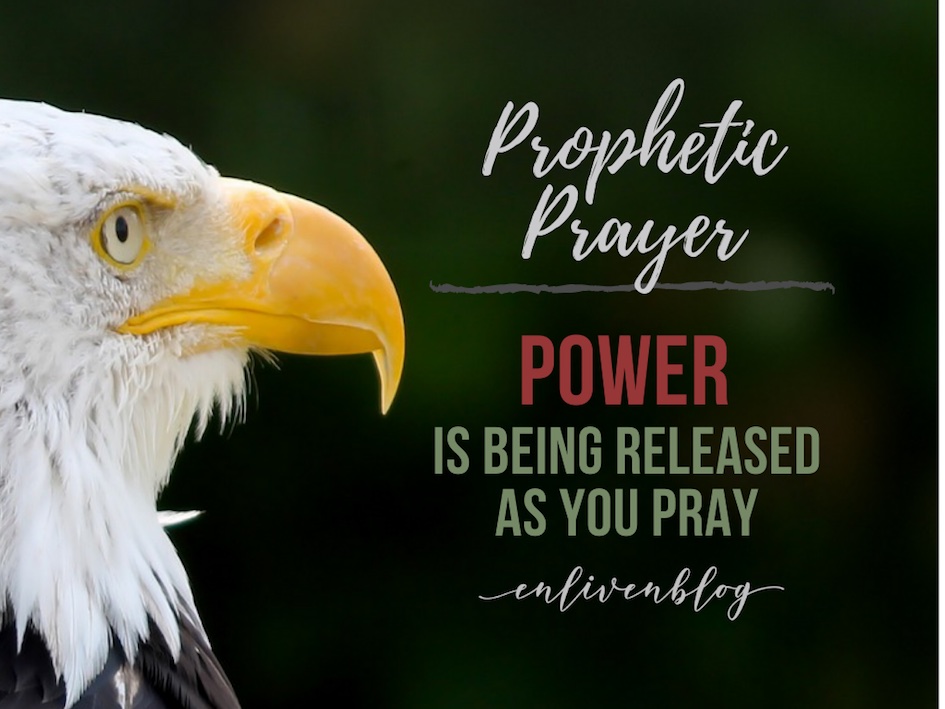 Eagle's face, "Prophetic Prayer: Power is being Released as You Pray"