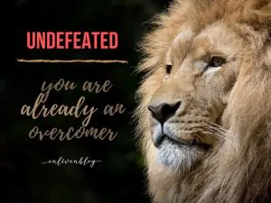 Undefeated