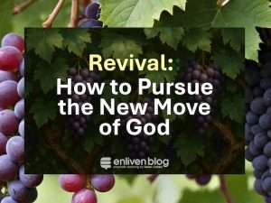 Revival: How to Pursue the New Move of God, Text on images of grapevines with ripened red grapes