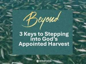 Beyond: 3 Keys to Stepping Into God's Appointed Harvest, text on teal background with frame of many fish in water