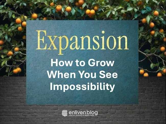 Expansion: How to Grow When You See Impossibility, text on background of a fruit tree above a grey brick wall